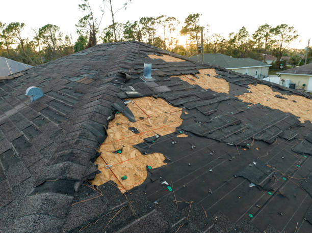 Best Roof Ventilation Installation  in Coleman, TX