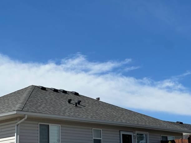 Best Roof Insulation Installation  in Coleman, TX